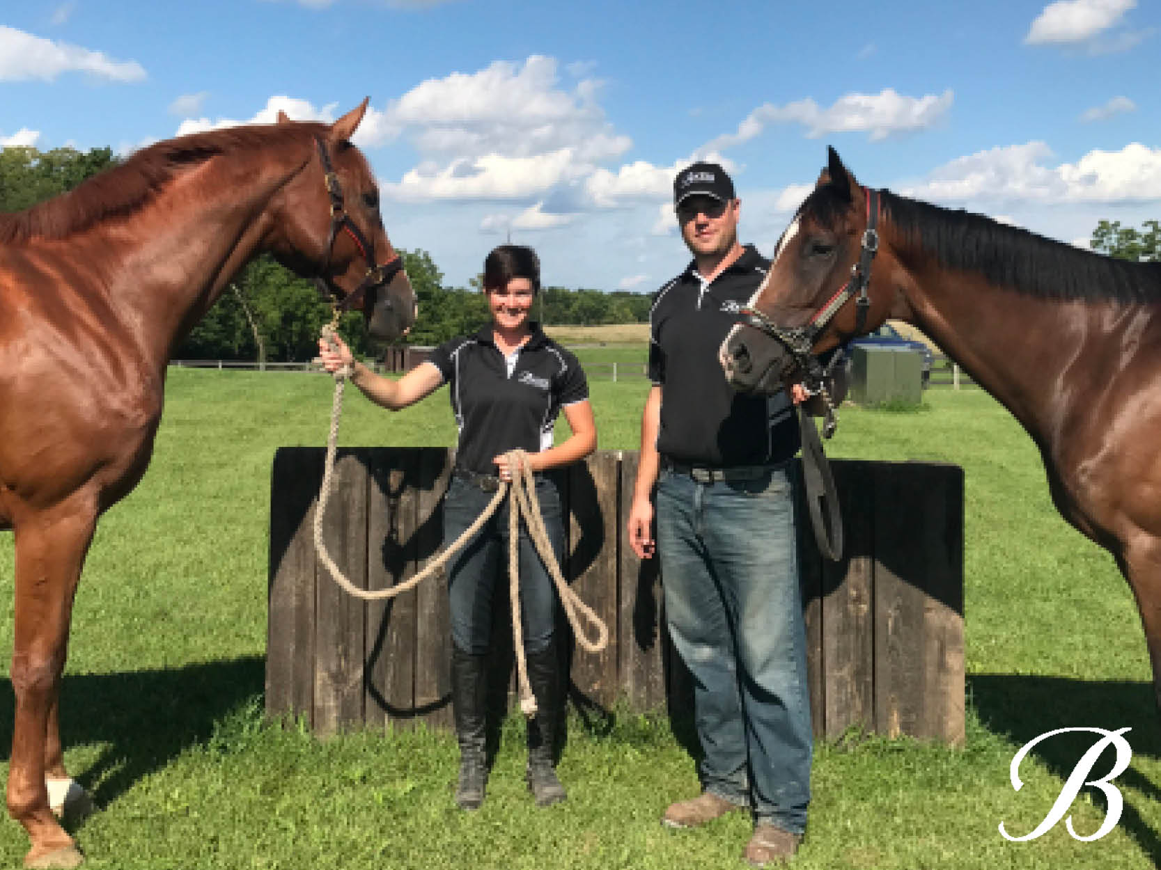 Behind the scenes at Elevation Dressage and Eventing (part 1)