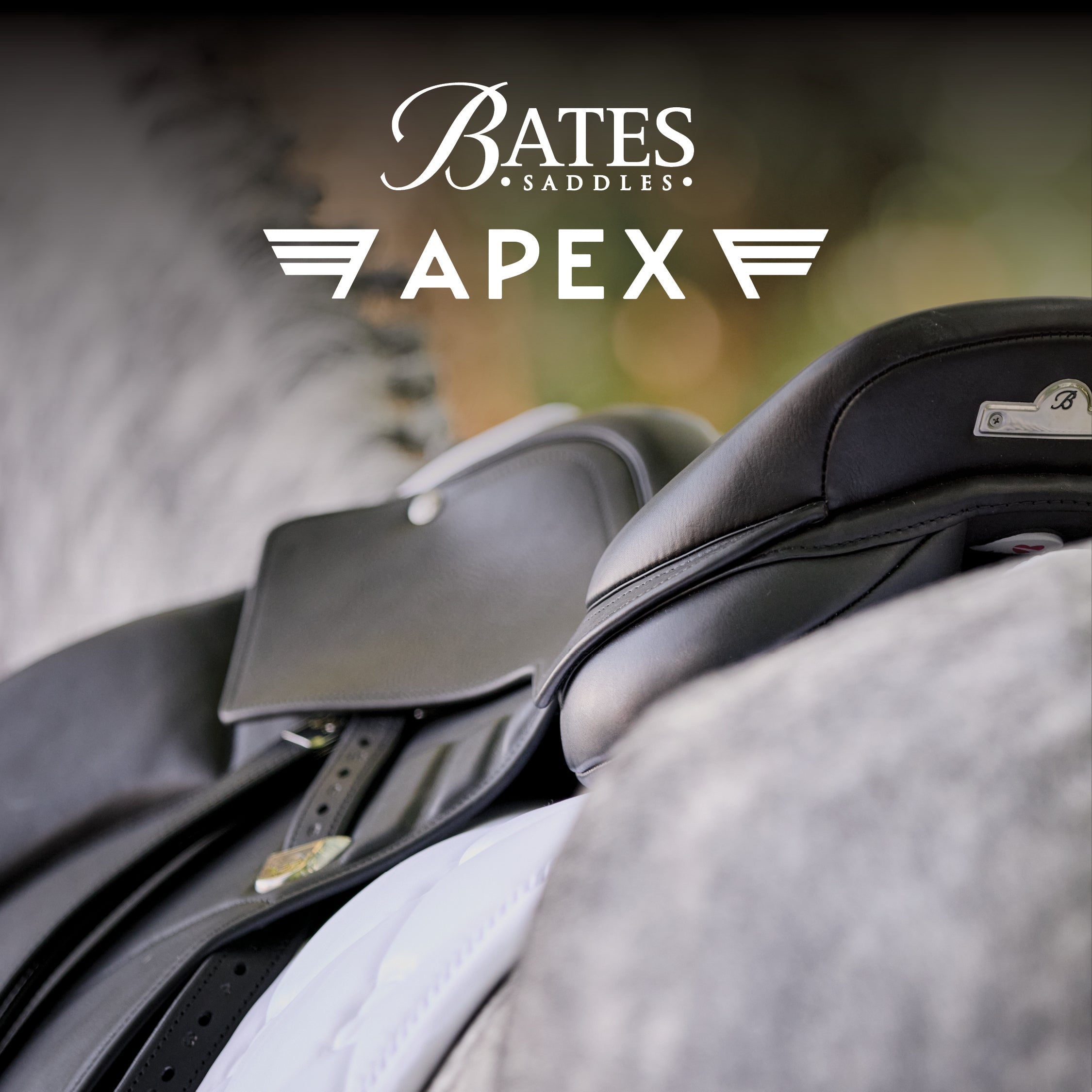 Bates Apex