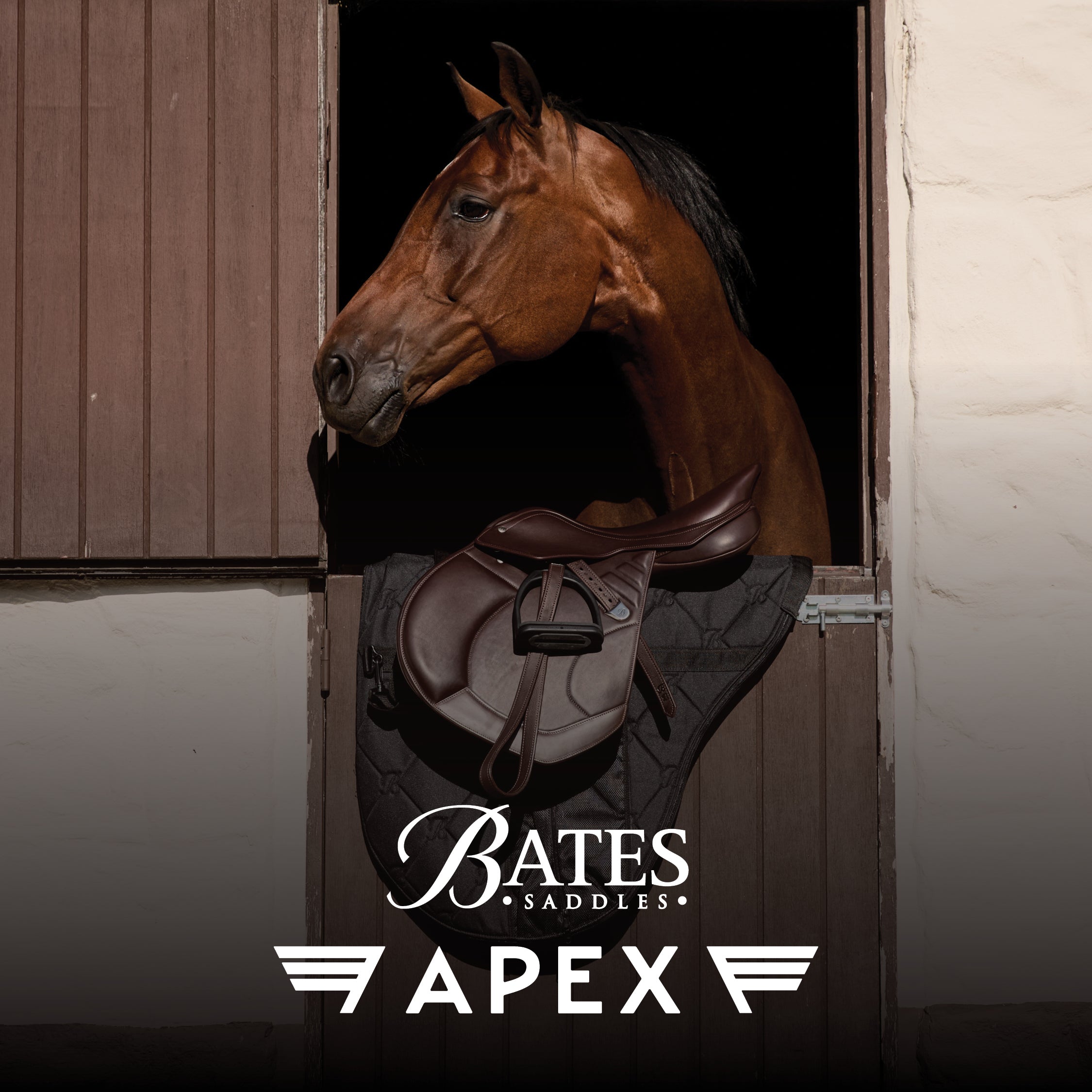 Bates Apex